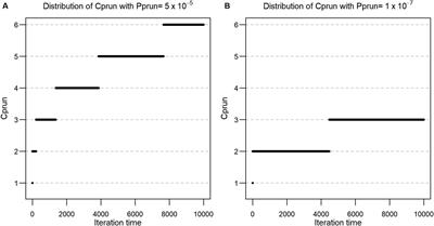 Enhanced Permutation Tests via Multiple Pruning